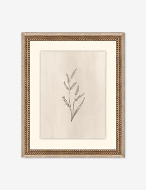 Elegant Botanical II Wall Art by Makai Howell | Lulu and Georgia 