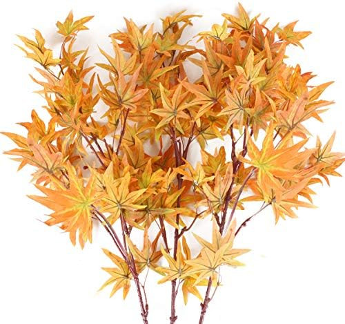 Brand: XHXSTORE | Amazon (US)