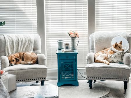 Sleepy puppies on a spring-like day 🥰 home decor armchair throw pillow endtable

#LTKfamily #LTKSeasonal #LTKhome