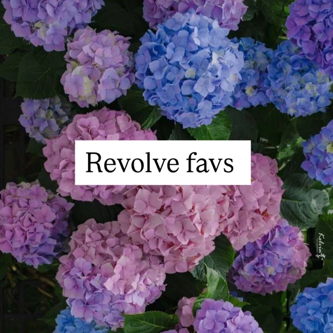 Some revolve favs currently 🩵

#LTKFindsUnder100 #LTKStyleTip #LTKU