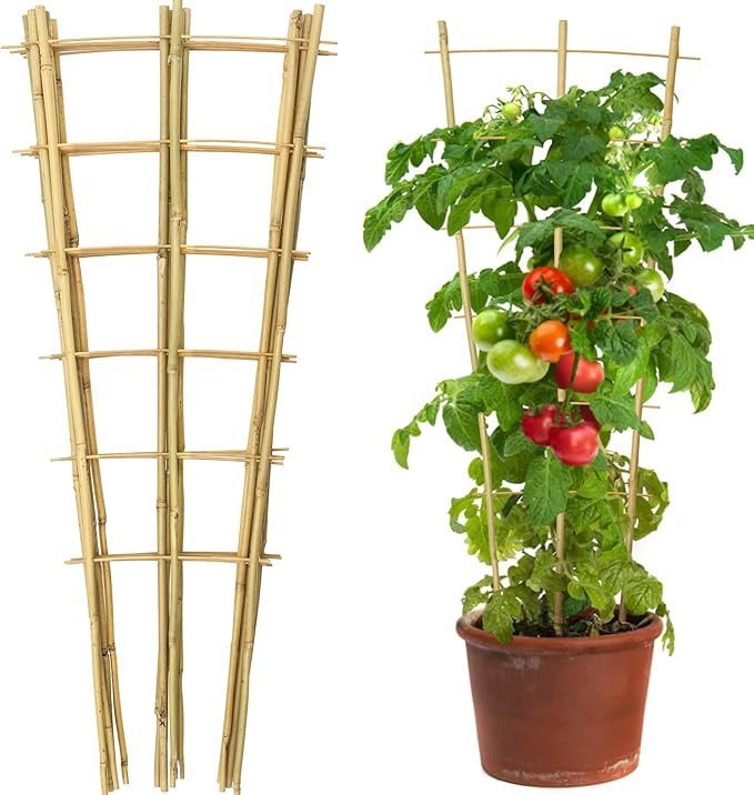 Taoskai 10 Pack 3 Feet Natural Bamboo Trellis, Fan-Shaped Bamboo Plant Trellis for Climbing Plant... | Amazon (US)