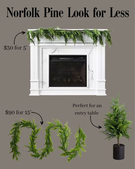 Norfolk pine look for less from Kirklands.  These are almost half the price of the ones from Afloral!  They’re perfect for Christmas holiday mantle or stair railings!  I used this tree on a side table last year and it was so cute! 

Home decor 

#LTKstyletip #LTKSeasonal #LTKhome
