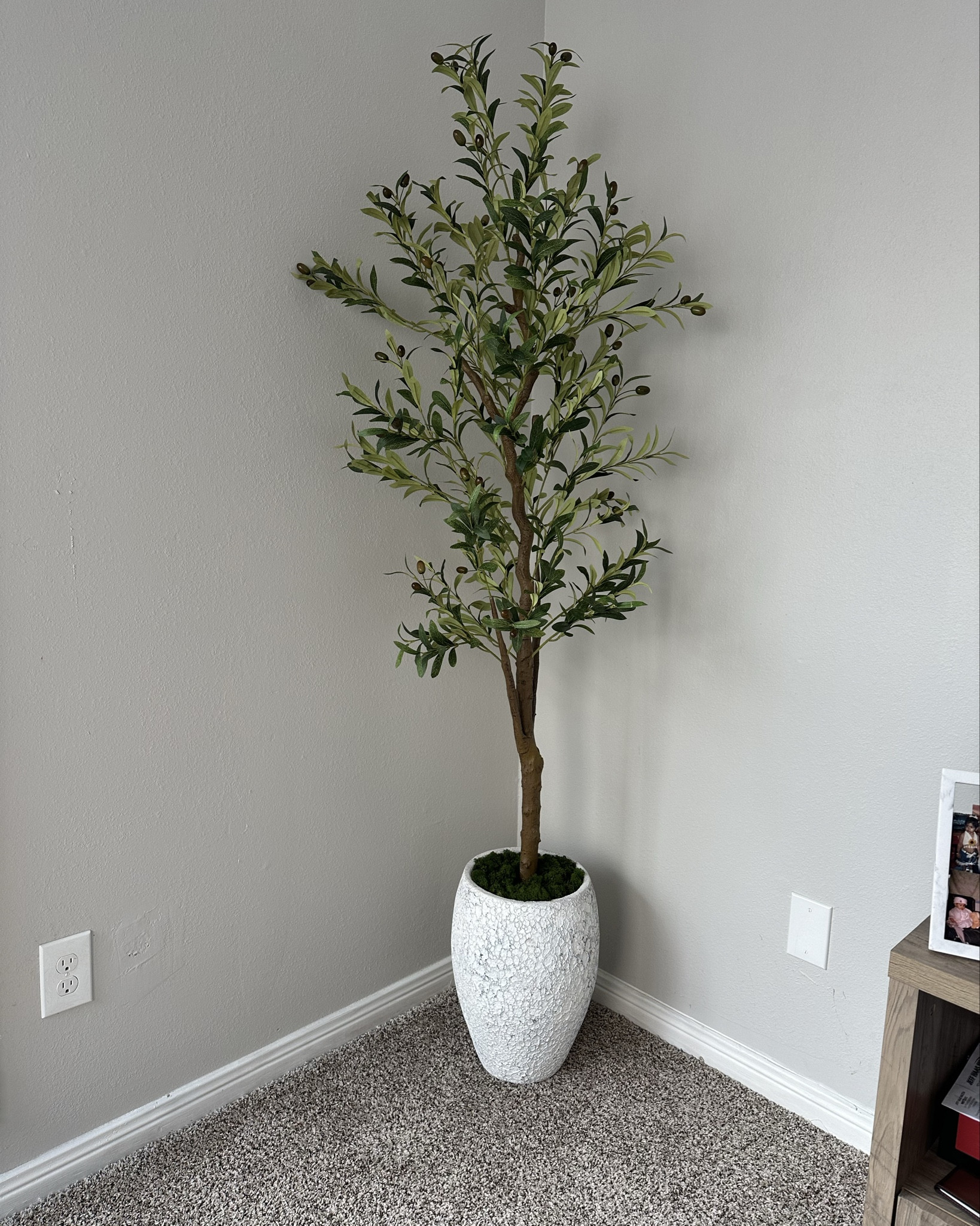 With a spacious bedroom, trees are a great addition to corners to create more vibrant environment 🌳 



#LTKHome #LTKStyleTip #LTKFindsUnder100