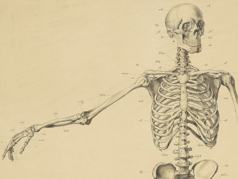 Frame TV Art File Frame TV Halloween Frame TV Set of Four - Etsy | Etsy (US)