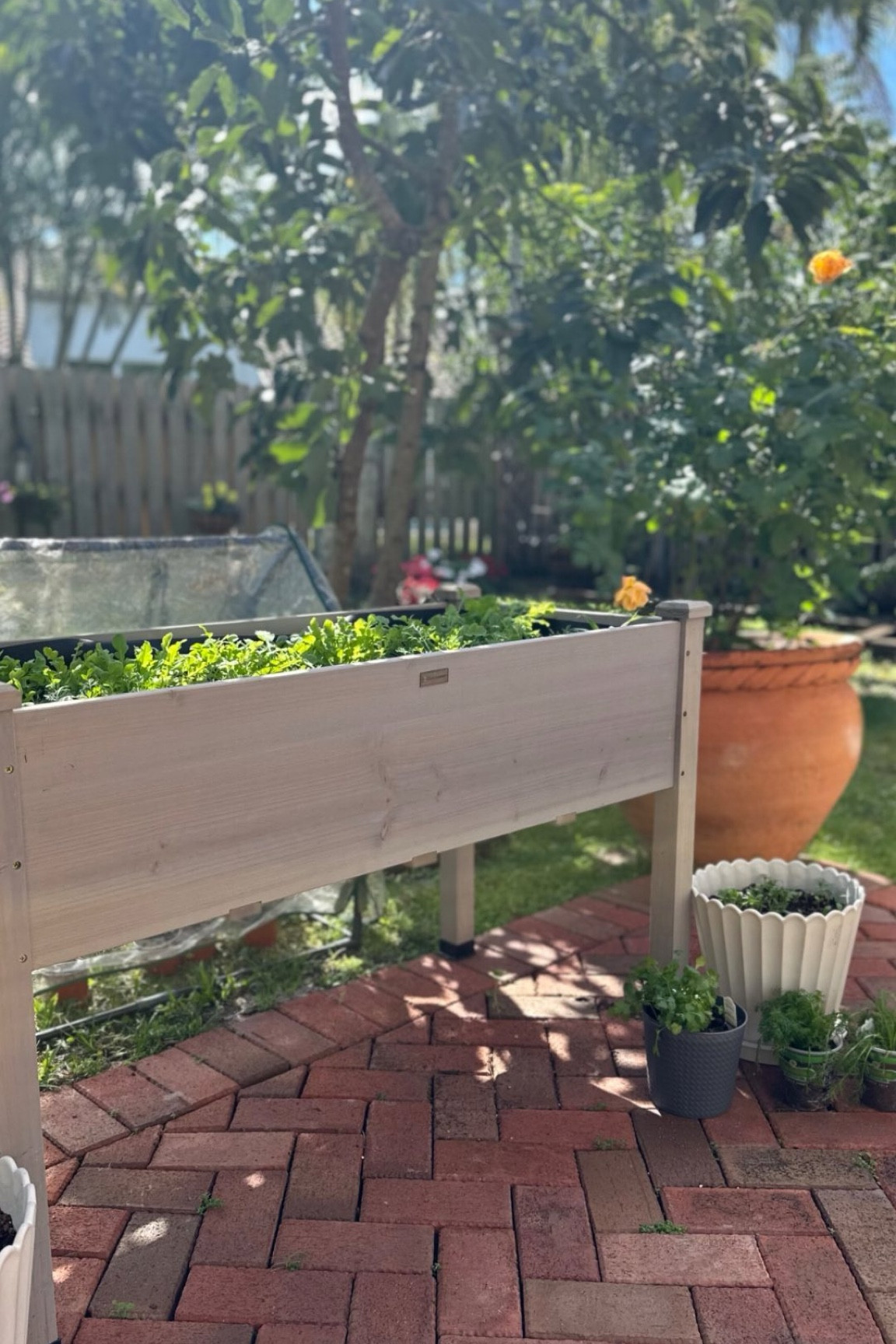 

Linked in my bio

I got the grey 48x24x31 and it’s 5 cubic feet 
Full how to put together video on my YouTube 

-Real Quality Wood 
-Durable & Weather Resistent
-Temperature Regulation 
- Liner Ventilation 
- Comes In Different Colors & Sizing! 

Easily my new favorite addition in the garden! I think I’m gonna get more!

#gardening #garden #gardendiy #gardenplanters #amazonfind #homegarden #homegardening #diygardening #garden #elevatedplanters

#LTKFamily #LTKGiftGuide #LTKHome