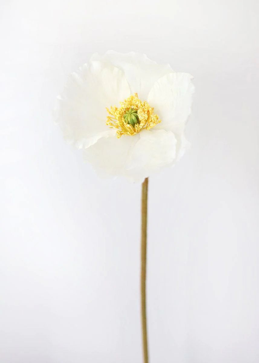 Cream Silk Flower Poppy - 23 | Afloral (US)