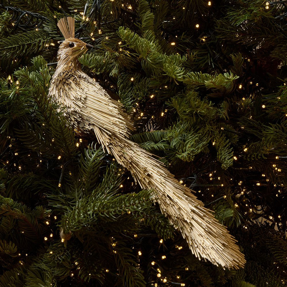 Mylar Large Bird Clip-On Ornament | West Elm (US)