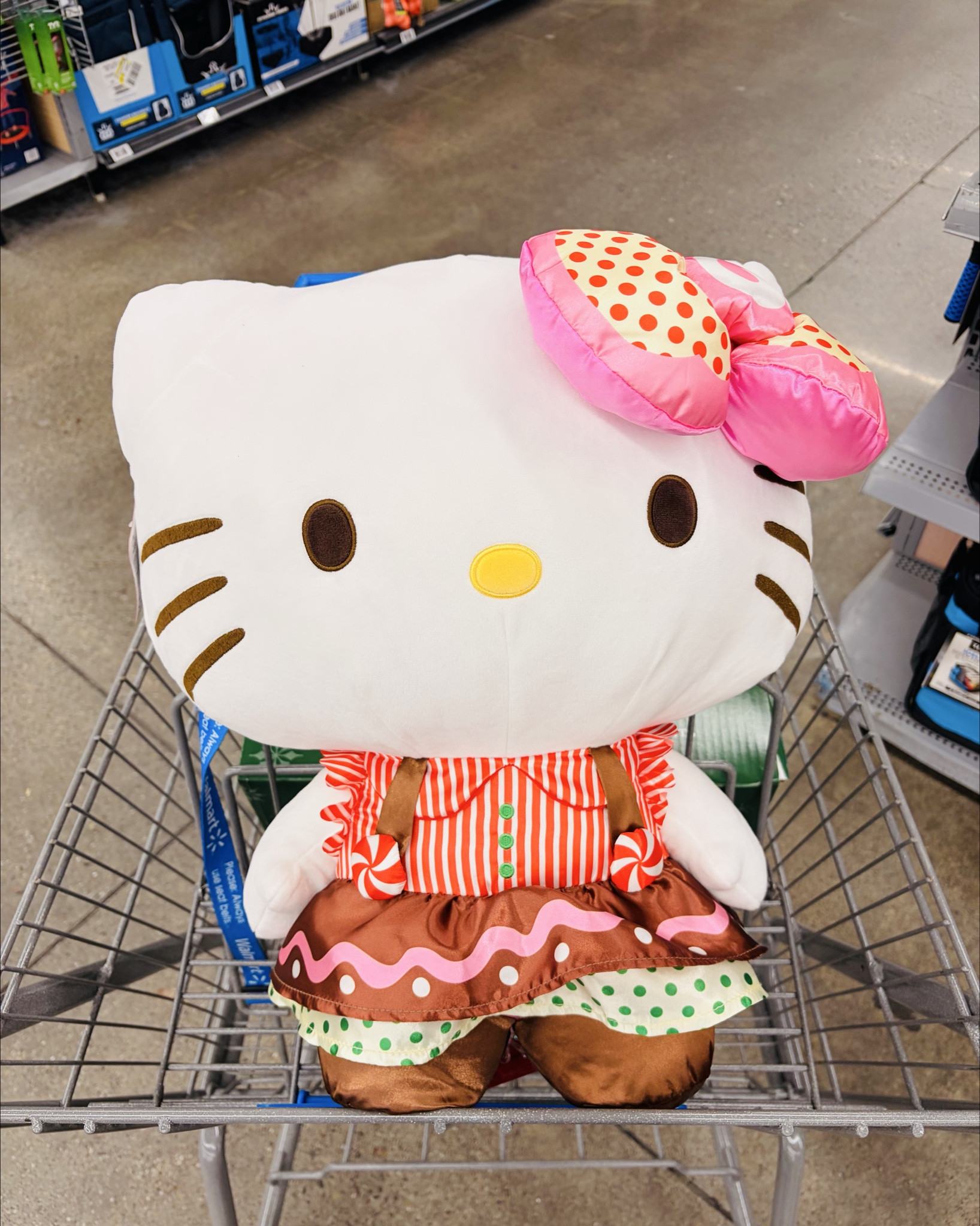 Happy Monday!☺️ Shopping @walmart and found some deals! These holiday deals and clearance finds are so fun!🎄😄 My shopping haul is at the end! I forgot to add the LED Christmas lighted trees, they were already in the cart before I saw this big 24 inch Hello Kitty plush when I walked in!🤩 This is not a greeter, it’s a super soft plush with puffy bow and puffy peppermint buttons on her dress!!😍 I have all these Christmas movies, but this is convenient to have some of my favorite Christmas movies on 1 blu-ray! The 8 inch Hello Kitty and Kuromi slumber party plushies are super cute and the smaller size is perfect! My daughters love Hello Kitty! Hello Kitty figure packs I got for my youngest daughter, she loves to play with them!🥰 She’s the one that you see me buy the Hello Kitty blind bags for!☺️ Some are selling out fast and sold out, but I found some left!😁












Shopping haul, clearance, Walmart clearance, holiday clearance, toys, Christmas movies, gift ideas, movie lover, movies, plush, stuffed animals, plushies, gift ideas, birthday gift ideas


#LTKHoliday #LTKSaleAlert #LTKGiftGuide