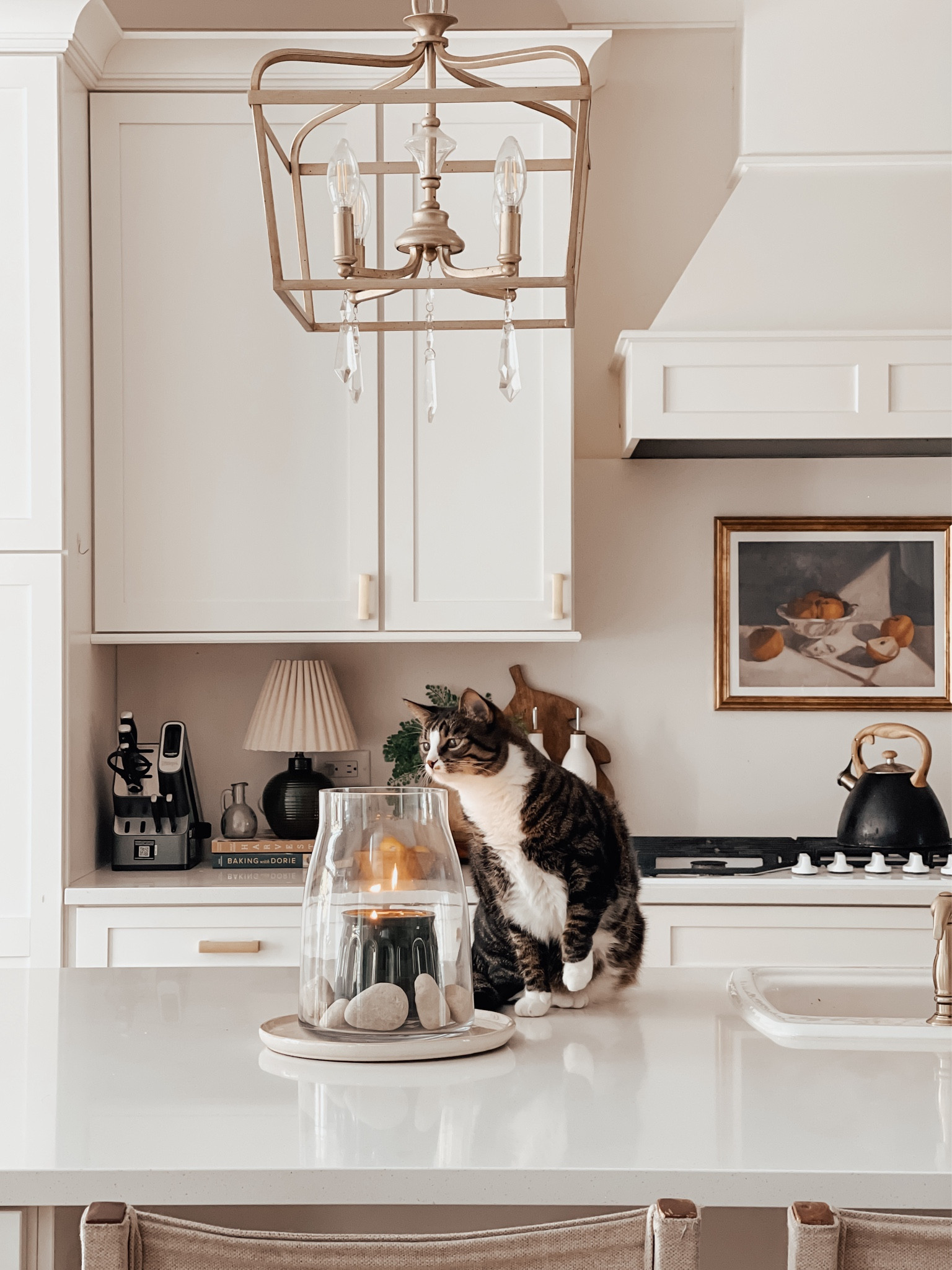 Millie enjoying the new candle scent from Hearth and Hand 

#LTKStyleTip #LTKHome #LTKSeasonal