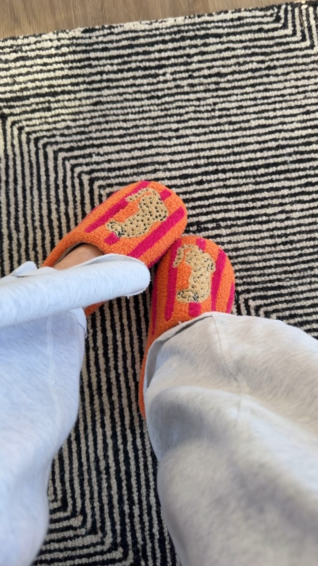 Cute house slippers shoes 