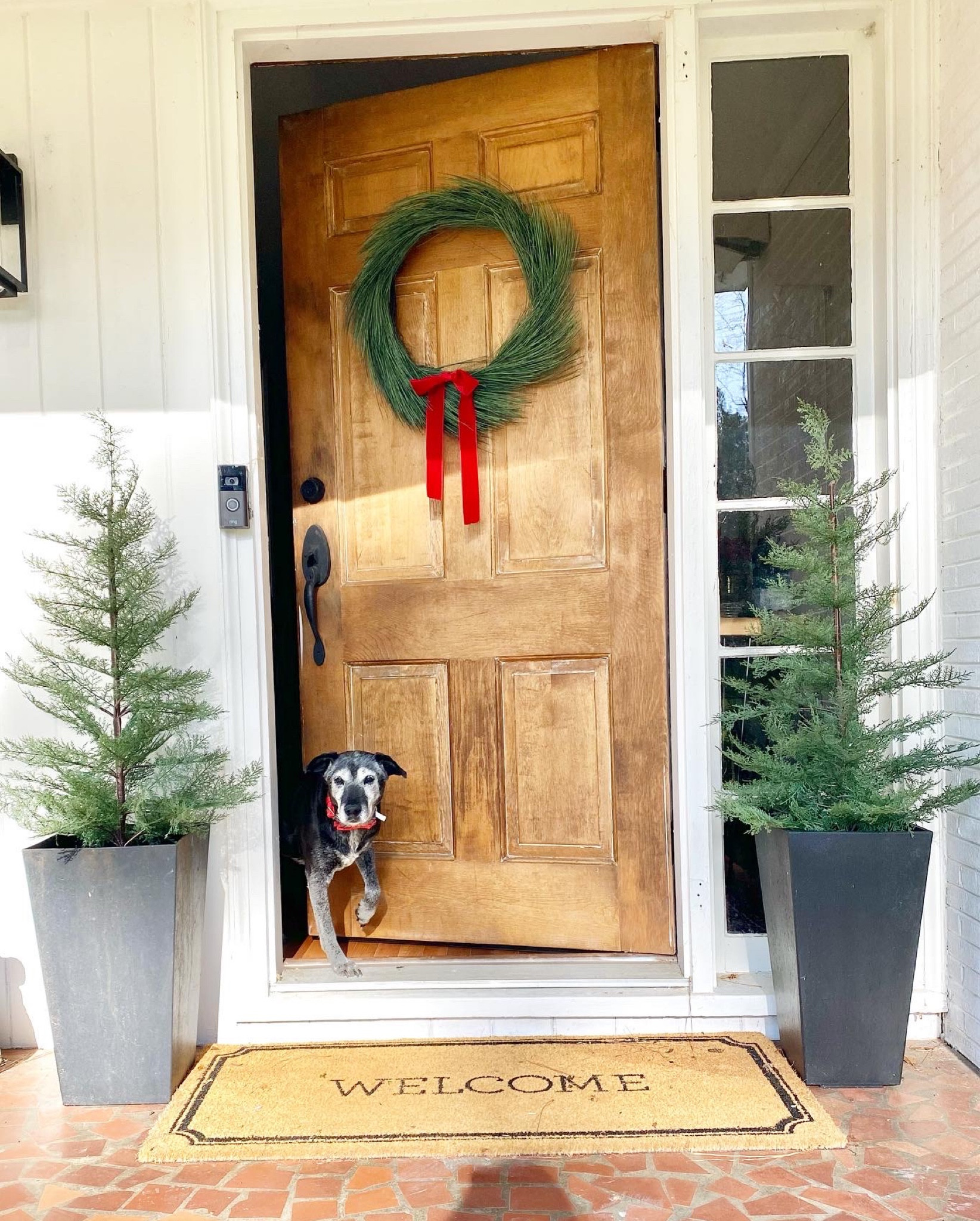 Simple holiday curb appeal with the best trees. These trees look so real, they even tricked my husband 😂🎄

#LTKHoliday #LTKsalealert #LTKSeasonal