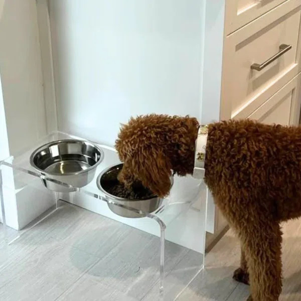Elevated Feeder | Wayfair North America