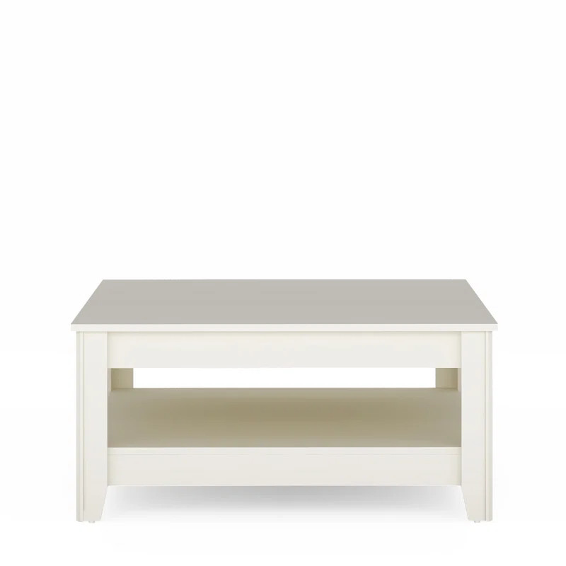 Basilico Coffee Table with Storage | Wayfair North America