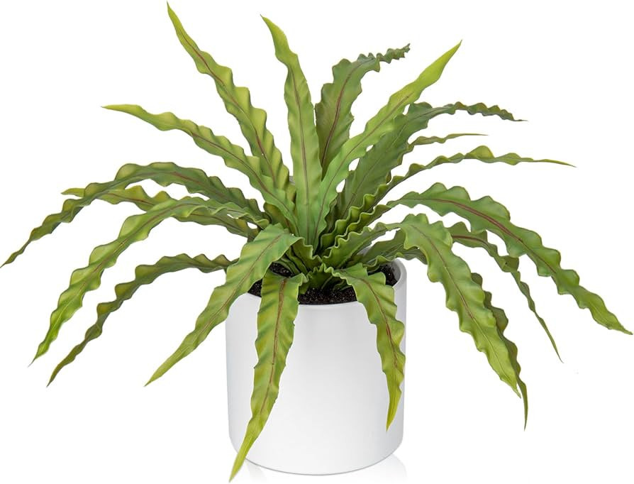 GnFlus Artificial Fern Plant in Ceramic Pot, 11 Inch Fake Bird’s Nest Ferns Plants Faux Potted ... | Amazon (US)