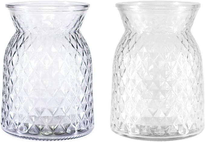 Glass Vases for Flowers,Flower Vase for Home Decor, Desk Placement and Gift, 2 Pieces (Modern) | Amazon (US)