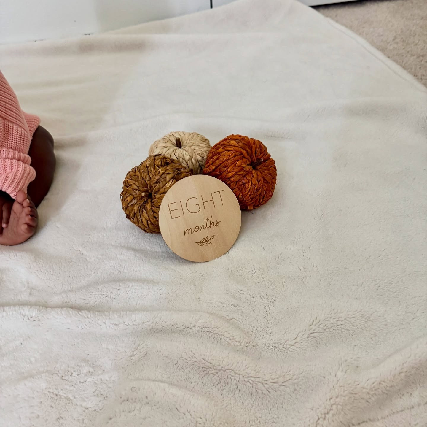 Eight months with my sweet girl🩷

Milestone pic inspo 

#ﬁrsttimemom #mom #newmom #postpartum #girlmom #milestonepic

#LTKFamily #LTKBaby #LTKKids