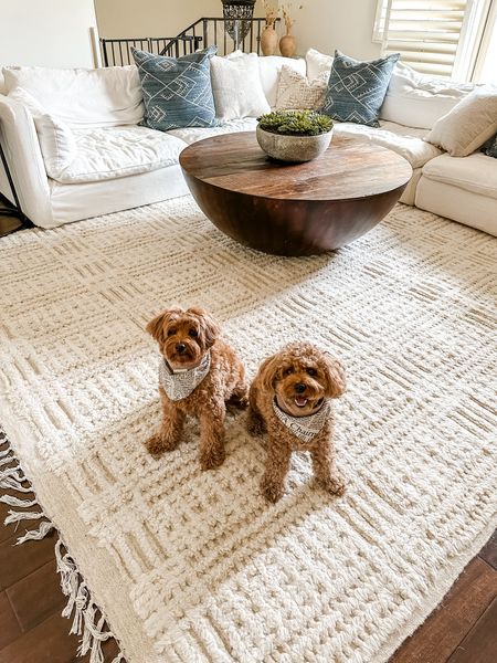 The perfect neutral rug with a cozy creamy texture 👌🏻
‌
I finally found the perfect rug for my living room and it’s dreamy! Thank you @rugs_usa #gifted
‌
It’s pet friendly AND great for high traffic areas which is perfect for our living room!
‌
What do you think?! ☺️
‌
✨ Rugs USA is offering 20% off sitewide sale when you use code: USA ✨
‌
Like and Comment RUG and I'll send you the direct link to my new living room rug or head to the link in my bio. And follow @kingsleythedoood for more! 🫶🏻
‌
SAVE | SHARE | FOLLOW | LIKE
‌
🏷️ Area Rug | Living Room Rug | Neutral I Textured | Family | Modern Home | Home Inspo I Living Room Decor |
‌
#RugsUSA #RugsUSAPresidentsDay #arearugs #neutral #textured #livingroomrug #modernhomedecor #springrefresh #modernhomedesign #decor #rugs #goldendoodle #pets #family
‌
‌


#LTKSpringSale #LTKsalealert #LTKfamily