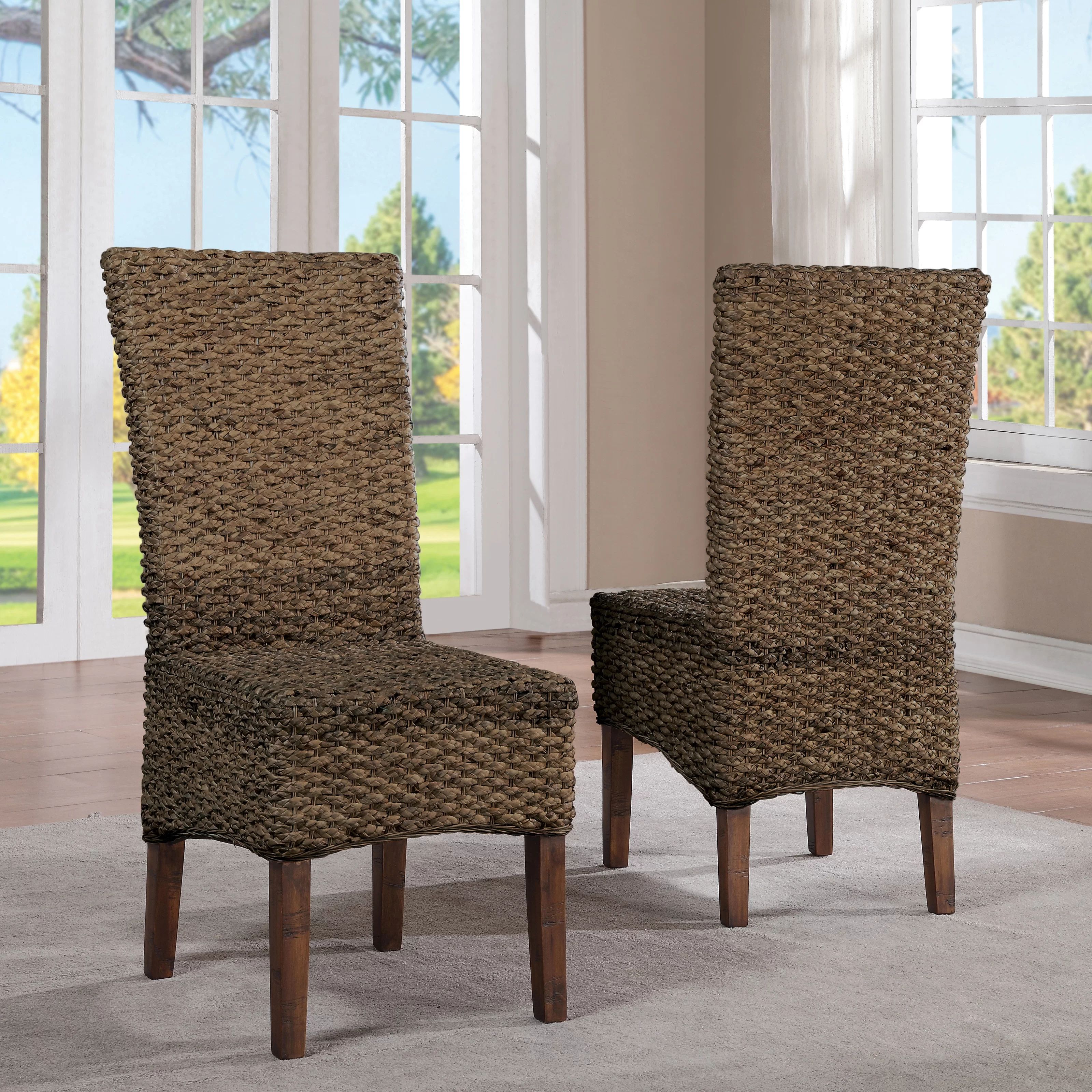 Adairsville Side Chair in Tan, Brown, Black (Set of 2) | Wayfair North America