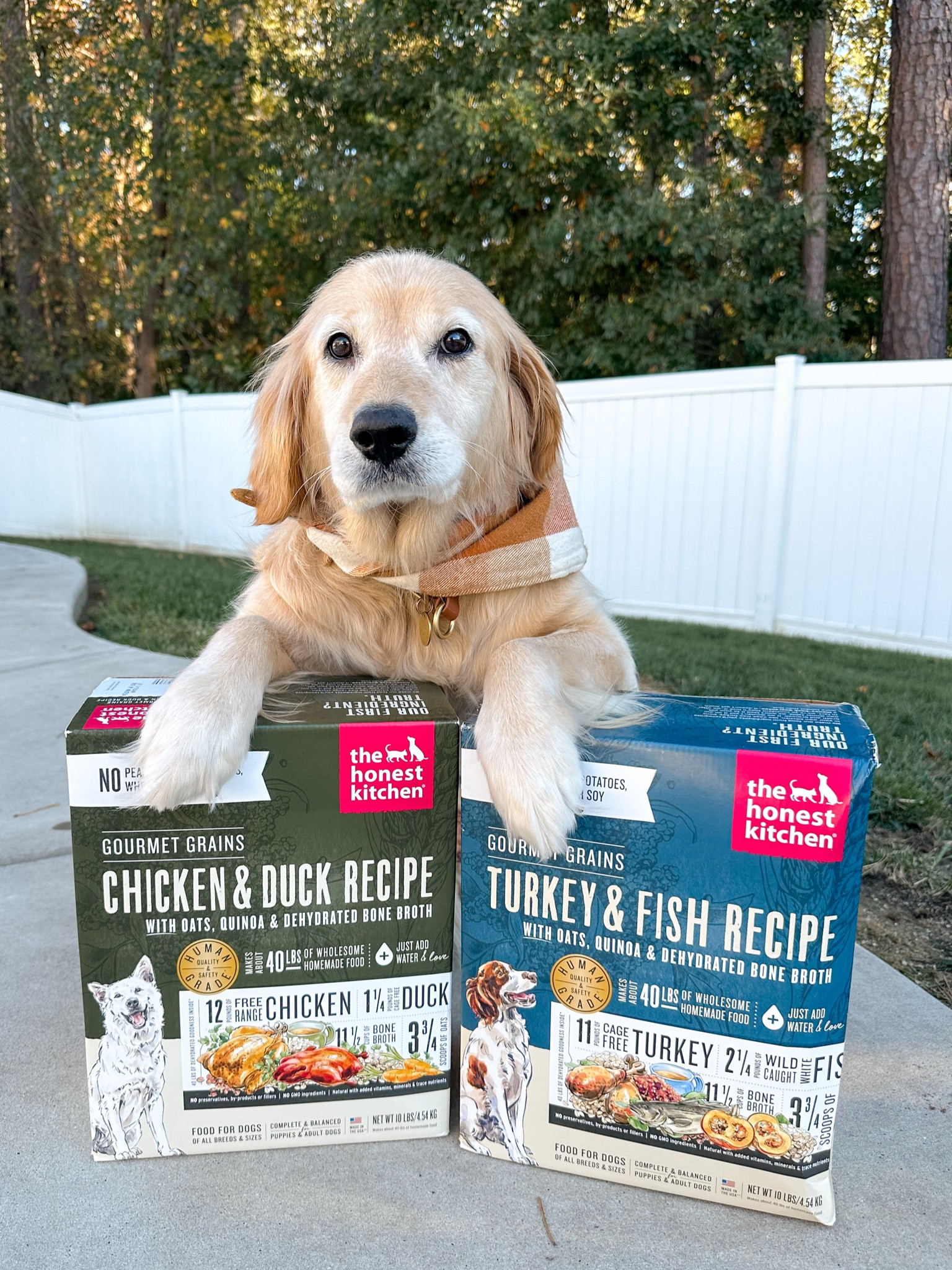 We love stocking up during a good sale! #LTKpets

#LTKsalealert