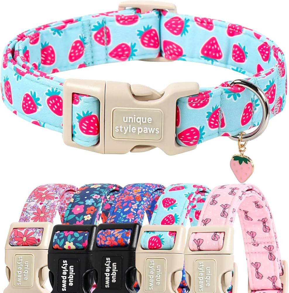 Unique style paws Dog Collar Plastic Buckle with Pendant Puppy Collar for Spring Summer Blue Stra... | Amazon (US)