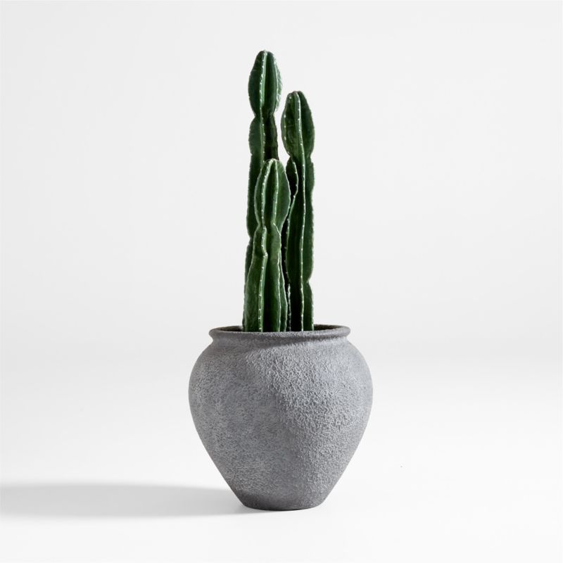 Faux Tall Potted Cactus Plant + Reviews | Crate & Barrel | Crate & Barrel