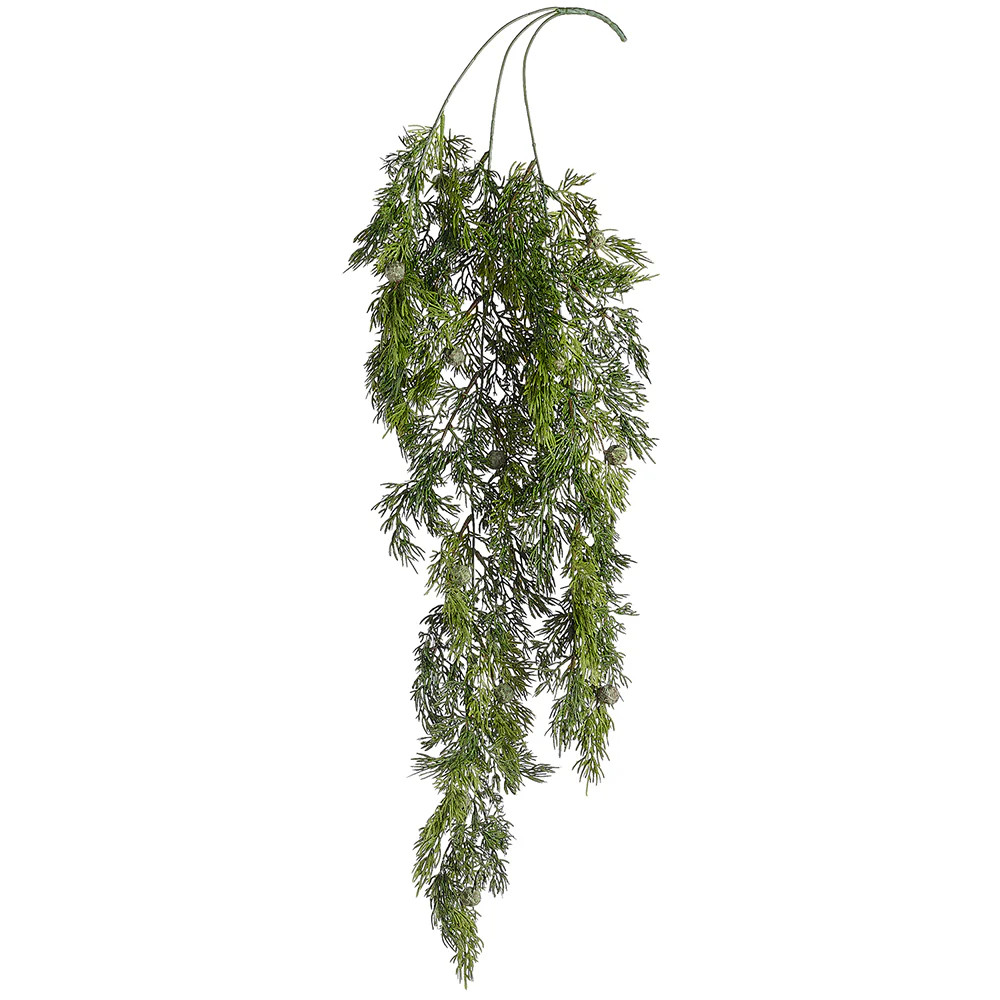 Juniper Hanging Bush | Gatehouse No.1