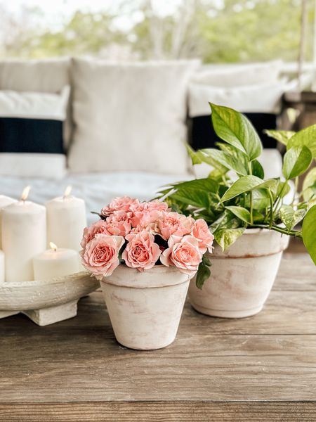 Using an organic lime wash on Terra Cotta Pots is a super easy way to give an aged look to new pots! #agedterracotta #terracottapots #springrefresh #vintagestyle 

#LTKhome #LTKSeasonal