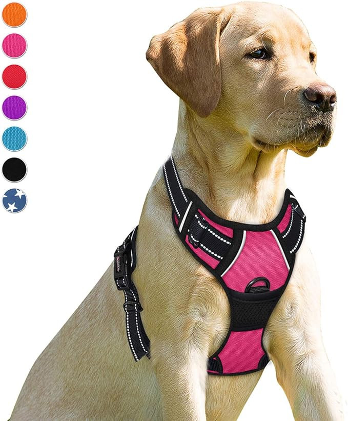 BARKBAY No Pull Dog Harness Front Clip Heavy Duty Reflective Easy Control Handle for Large Dog Wa... | Amazon (US)