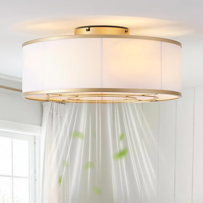 Caged Low Profile Ceiling Fans with Lights, Bladeless Ceiling Fan with lights Remote, Flush Mount... | Amazon (US)