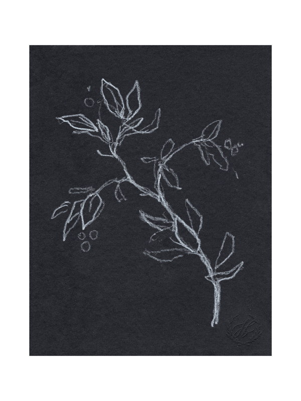 "Black & " - Marketplace Non-custom Art by Jess Blazejewski. | Minted