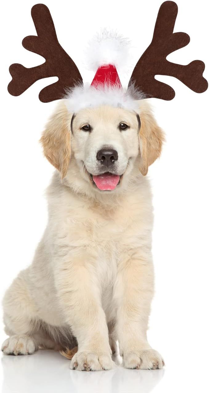 BWOGUE Dog Elk Reindeer Antler Headband with Santa Hat Pet Pet Christmas Costume Headwear Accesso... | Amazon (US)