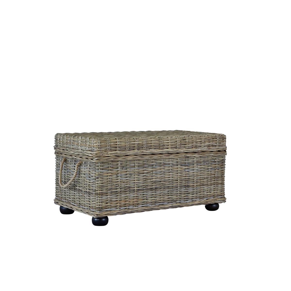 Beattie Wicker Trunk | Wayfair North America