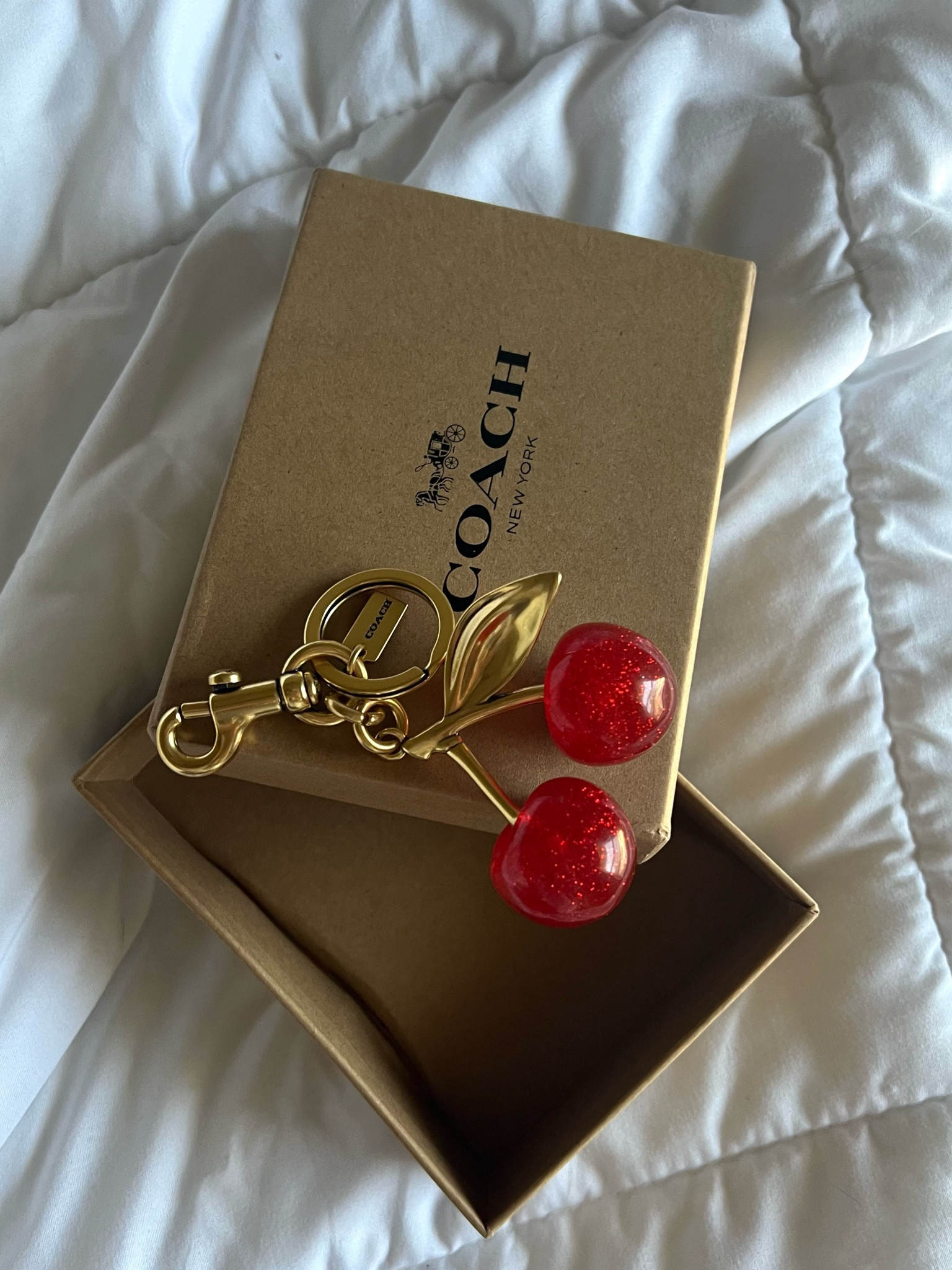 DH GATE FIND!! 🍒

The VIRAL Cherry keychain from Coach!



#LTKfindsunder50 #LTKitbag #LTKGiftGuide