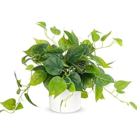 Faux Plants Indoor, Artificial Plants for Home Decor Indoor, Pothos Small Fake Plants - Fake Plants  | Amazon (US)