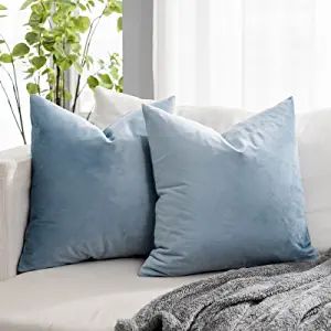 Amazon.com: QUAFOO Decorative Light Blue Velvet Throw Pillow Covers 20x20 Set of 2 for Sofa Couch... | Amazon (US)