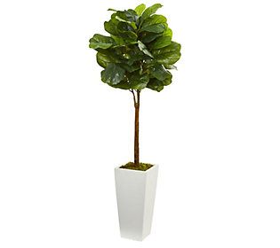 4' Fiddle Leaf Tree in White Tower Planter by N early Natural | QVC
