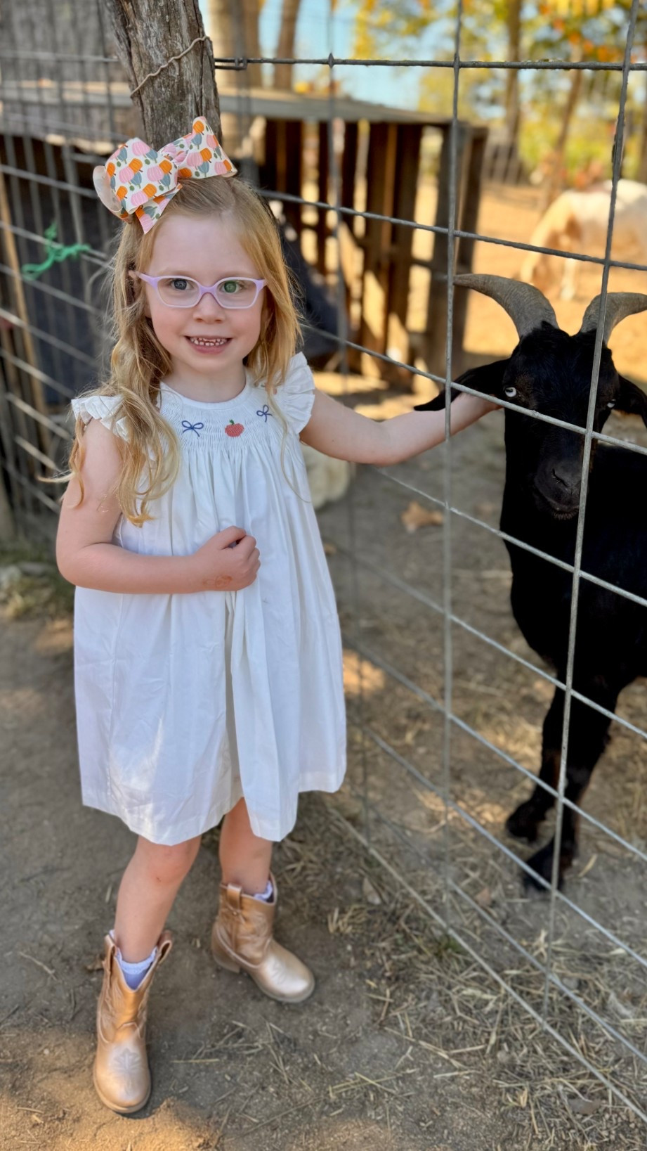 The Beaufort bonnet smocked pumpkin dress. Pumpkin patch look. Amazon little girl and toddler girls boots. Cowgirl boots. Tbbc fall. Tbbc pumpkins 

#LTKHalloween #LTKKids #LTKSeasonal
