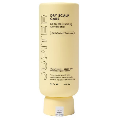 Jupiter Dry Scalp Care Deep Moisturizing Conditioner - 8.5 fl oz | Target