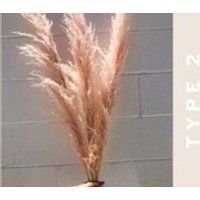 New PAMPAS GRASS (3 Stems) light Pink  Dried Pampas Plant Decor, Pampas Wedding Decor Bouquet, Boho Bohemian Wedding Flower | Etsy (US)
