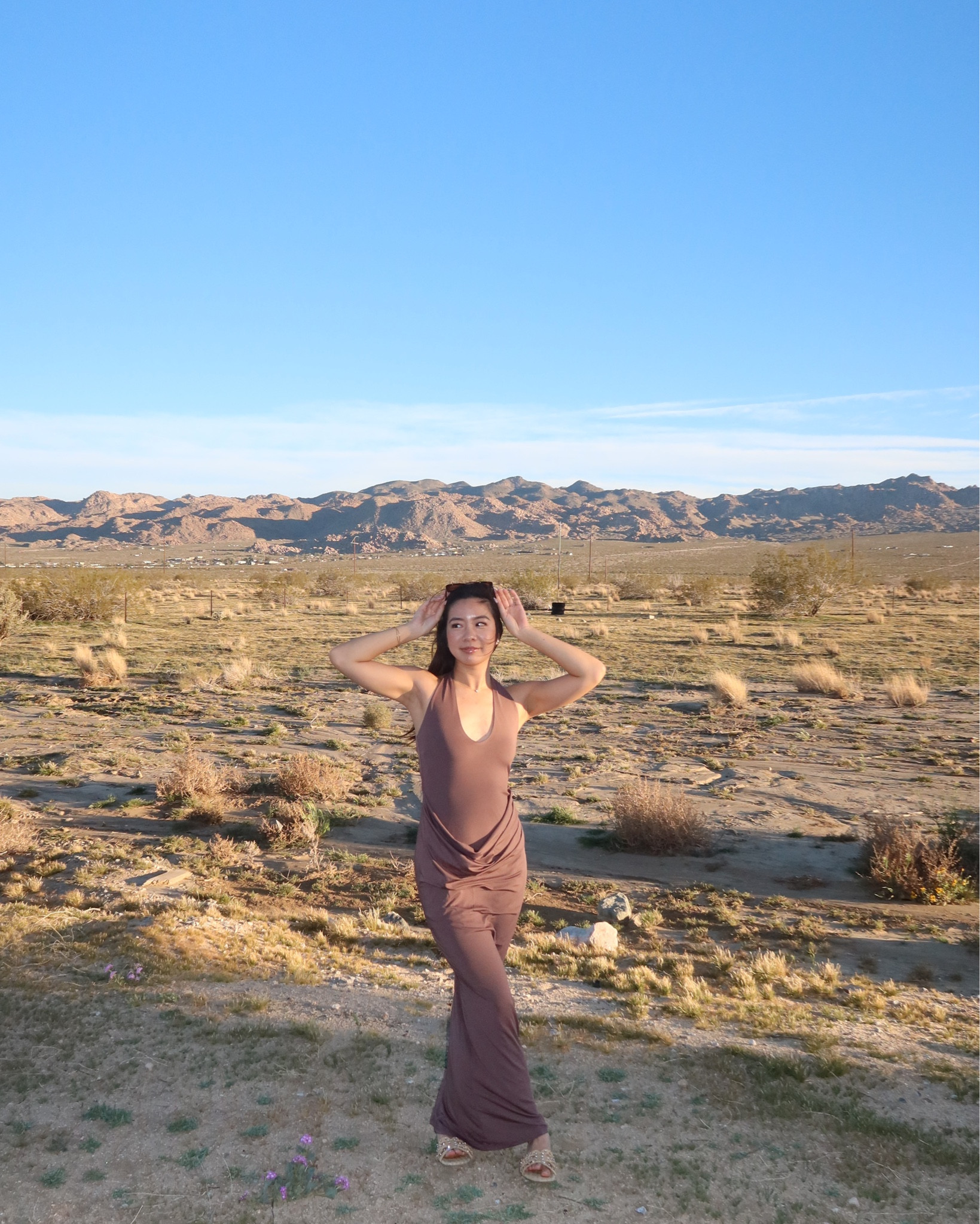 Desert Dress 