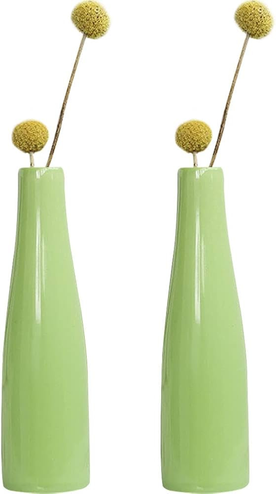 Small Ceramic Vase Set of 2 Flower Bud Vases Modern Minimalist Vase Mini Table Floral Vase Flower... | Amazon (US)