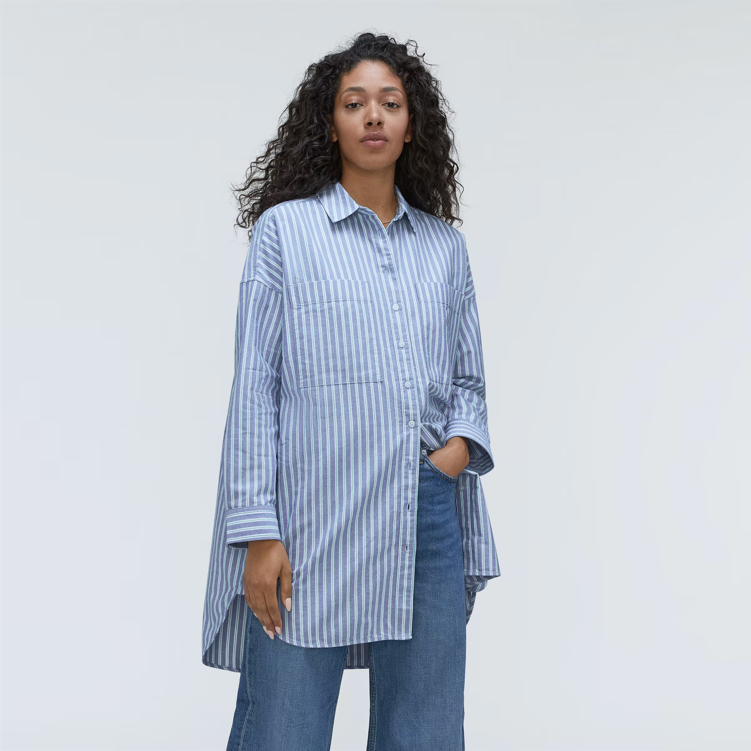 The Way Long Oxford Shirt | Everlane
