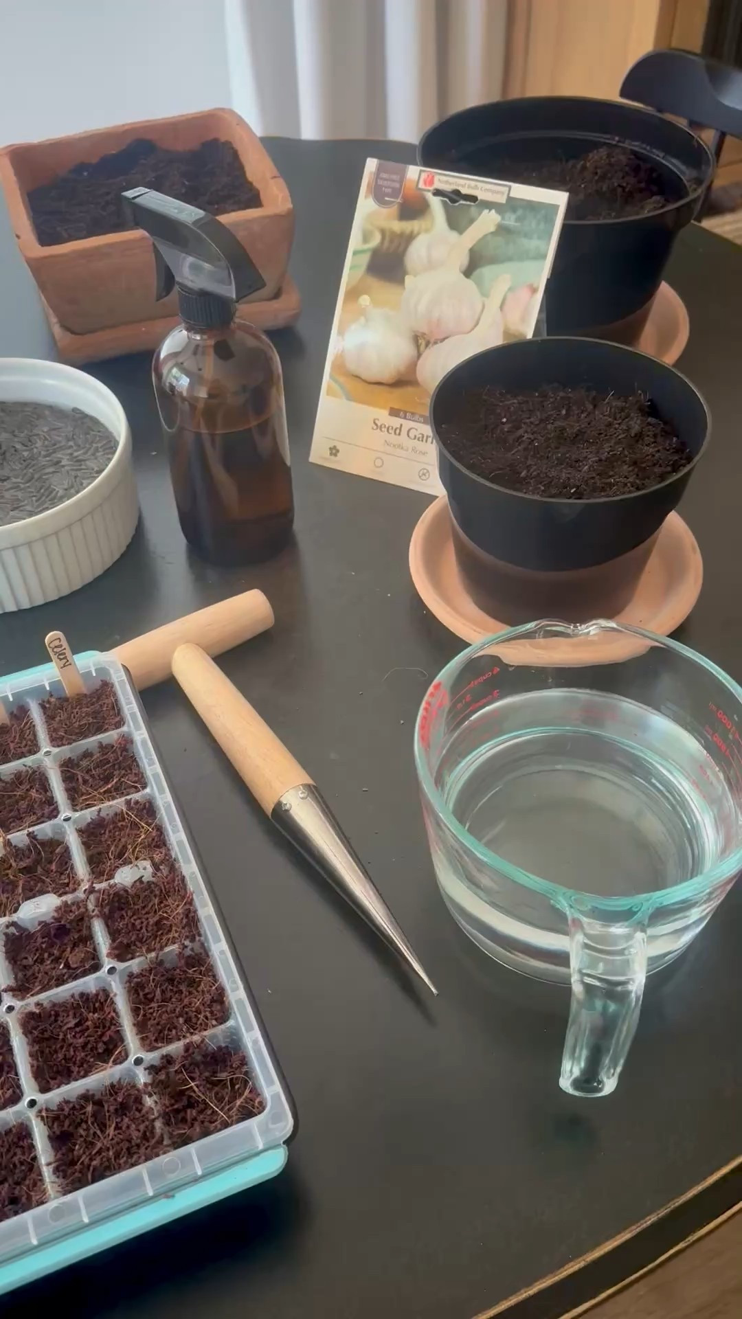 Sundays in the garden 🌱 Today I planted some more seedlings in my starters, and I also did some planning for our raised beds and herb garden.

This year I’m planting lots of herbs and vegetables, particularly for homemade stock. 

All of my garden favorites are below, including our raised beds, garden tools, flower and planter pots, dribber, spray bottles and more. What are you planting this year? #LTKWatchNow 

#LTKHome #LTKSeasonal