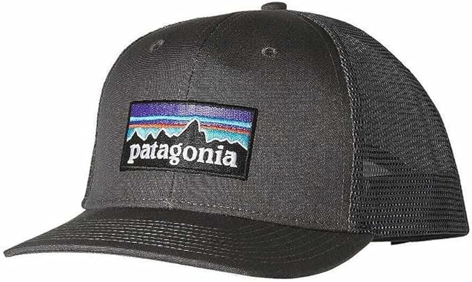 Patagonia Unisex P-6 Logo Trucker Hat Cap | Amazon (US)