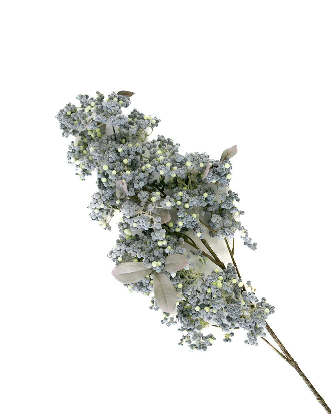 Blue Frosty Seed Berry Spray | Elements by Remedy