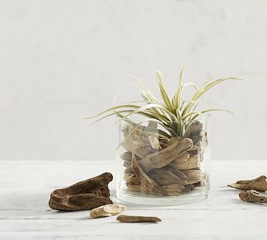 Driftwood Vase Filler | Pottery Barn (US)