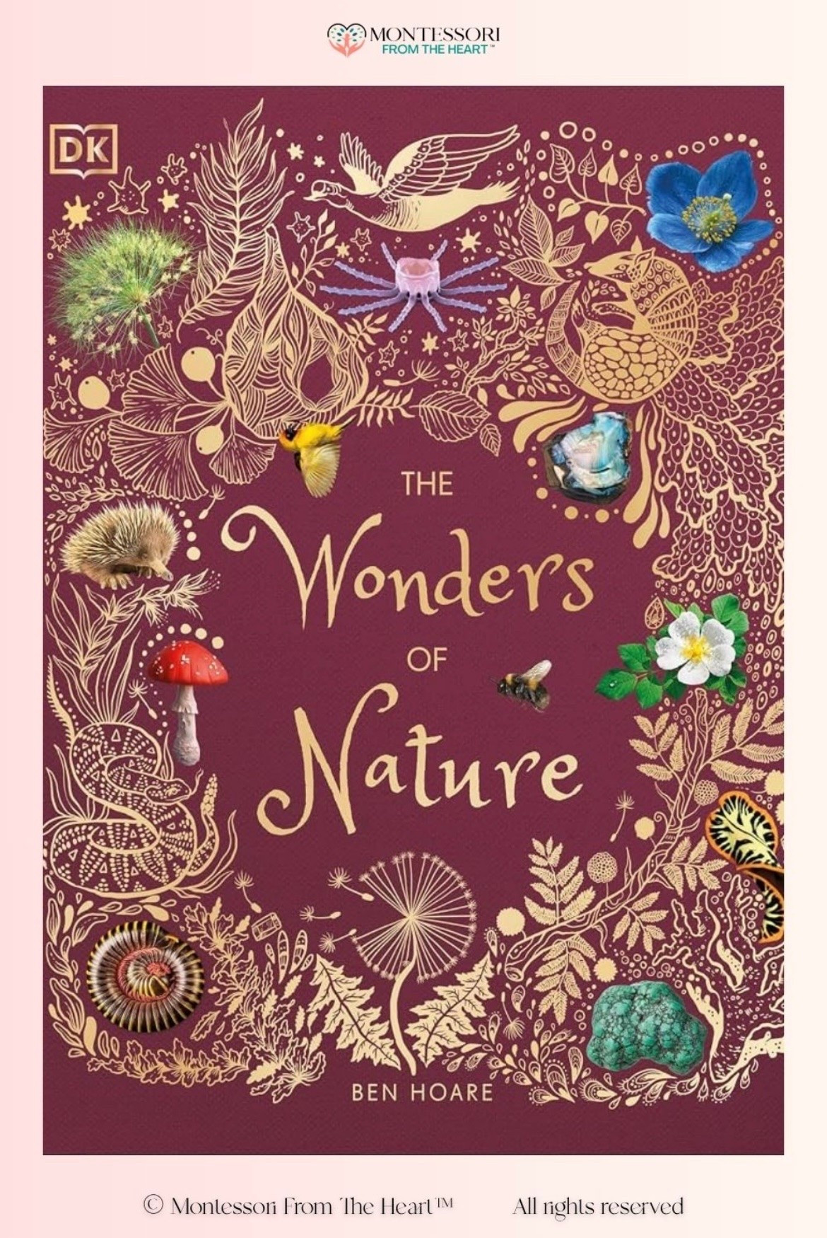 Wonders of Nature ~ Book for Kids

#LTKhome #LTKkids #LTKfamily