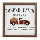 Pumpkin Patch Fall Sign - Tier Tray Sign - Mini Wooden Sign - Fall Sign - Fall Decor - Wood Sign - S | Amazon (US)