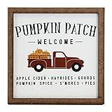 Pumpkin Patch Fall Sign - Tier Tray Sign - Mini Wooden Sign - Fall Sign - Fall Decor - Wood Sign - S | Amazon (US)