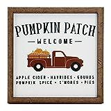 Pumpkin Patch Fall Sign - Tier Tray Sign - Mini Wooden Sign - Fall Sign - Fall Decor - Wood Sign - S | Amazon (US)